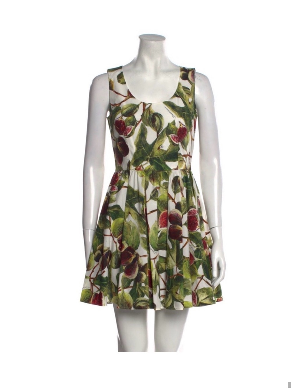 Dolce & Gabbana Fig Dress